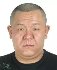 内蒙古,绿色草原与牧歌悠扬的画卷