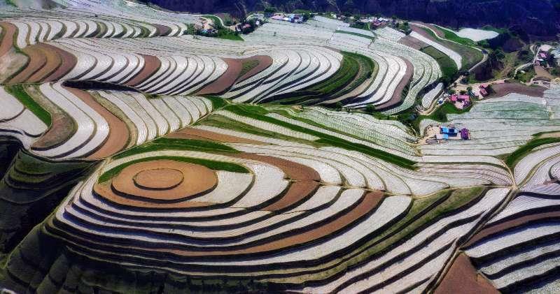 宁夏,地理、历史与文化的探索之旅