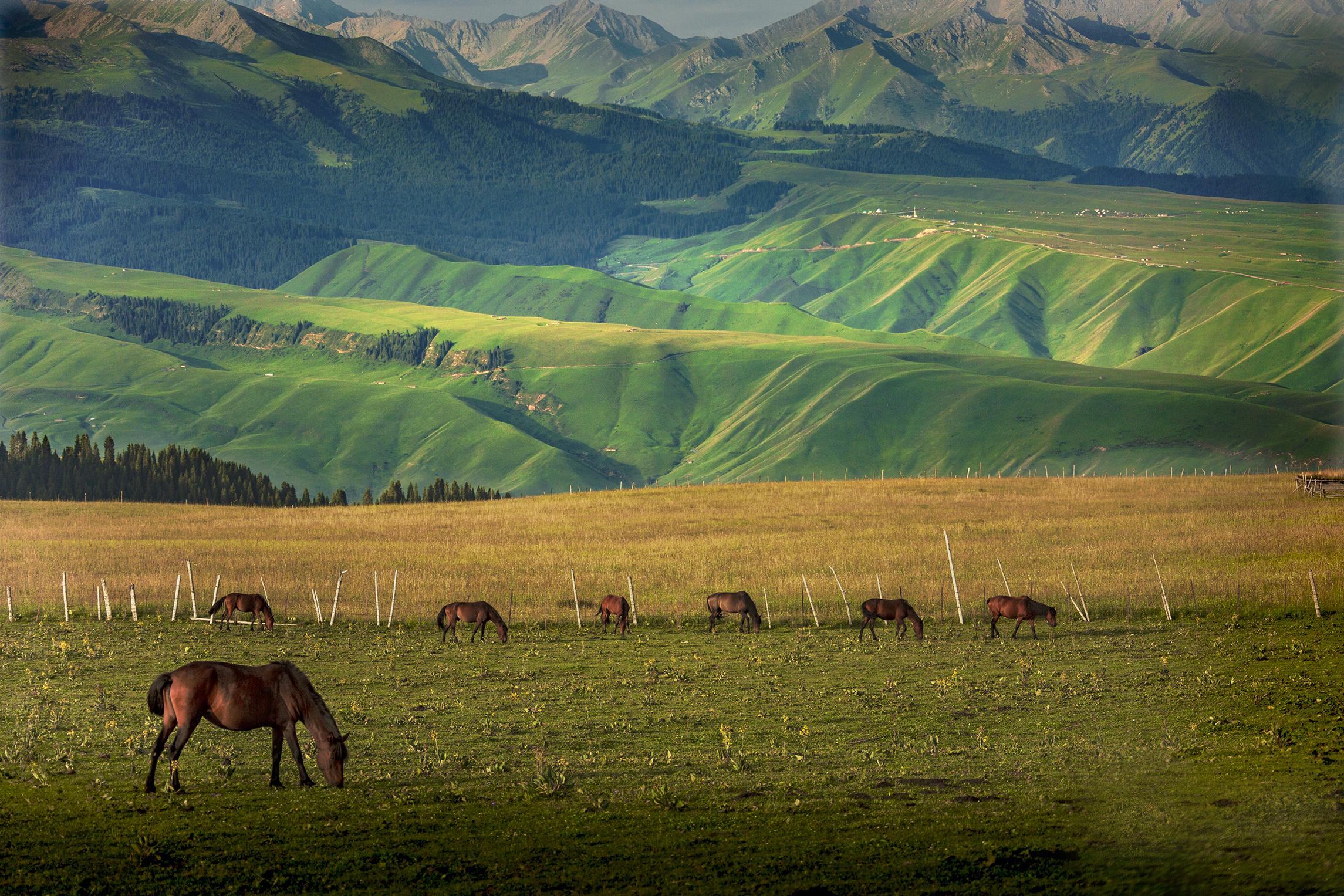 新疆之美，探寻丝绸之路上的瑰宝